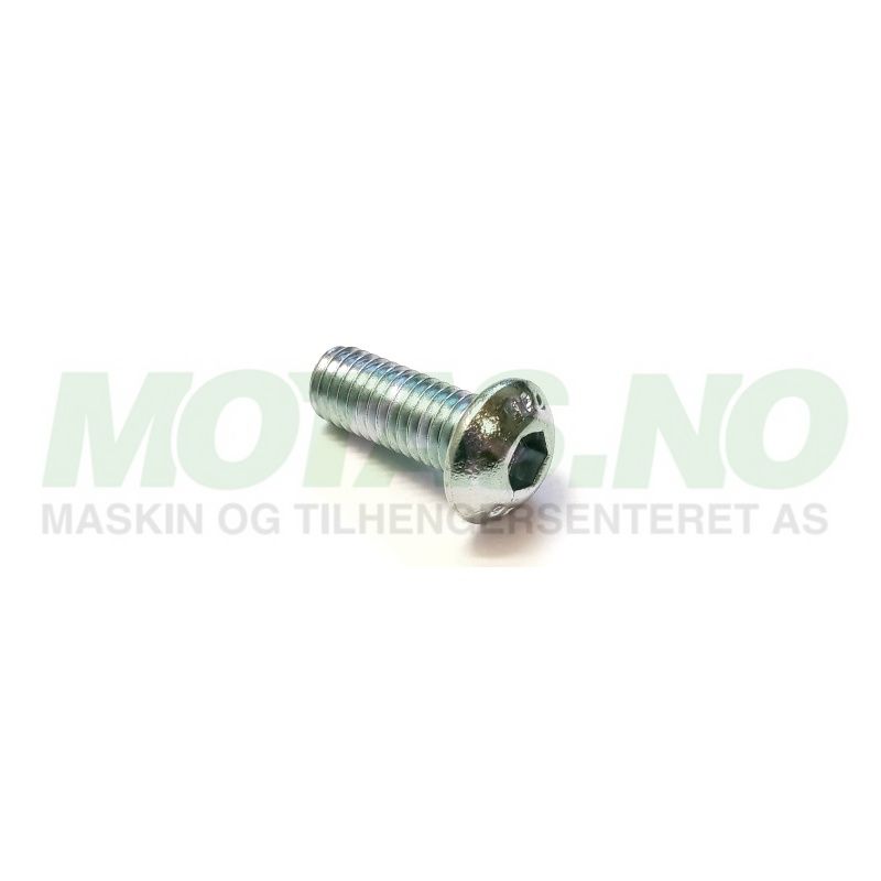 Bolt M8x20 10.9 ISO7380