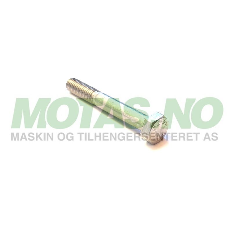Bolt M8x60mm A4 DIN931