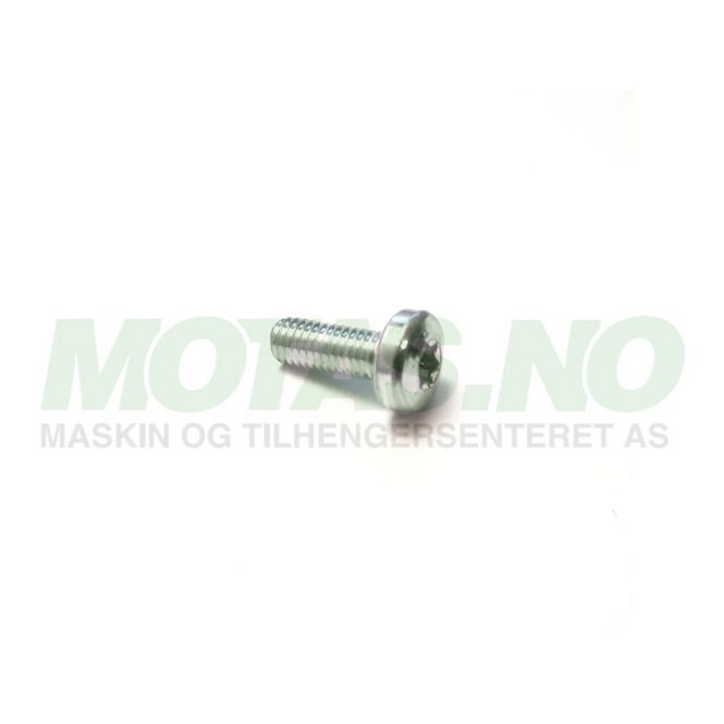 Hovedbilde Bolt M6x16mm DIN 7985 TX